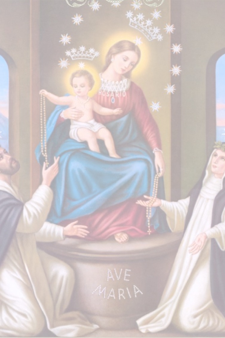 MARIA TERESA FEDERICO